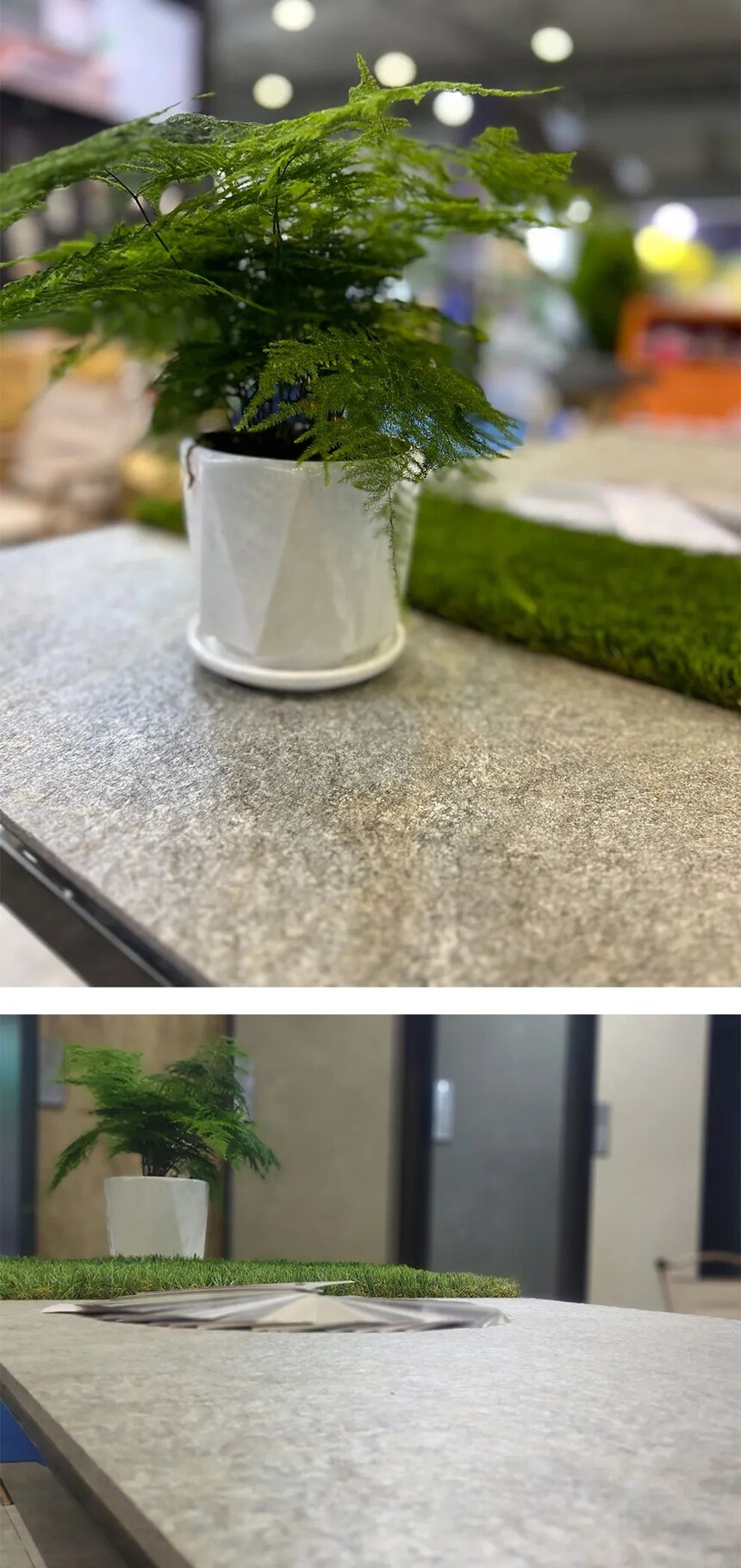 1697275845658551.jpg 1697275845658551.jpg